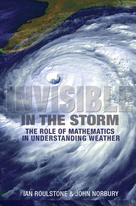 Cover image for book Invisible in the Storm