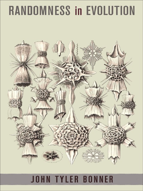 Cover image for book Randomness in Evolution
