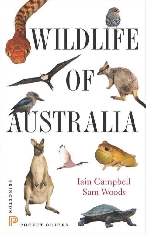 Wildlife of Australia 