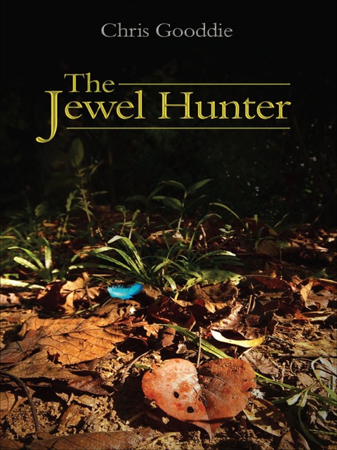 Cover image for book The Jewel Hunter
