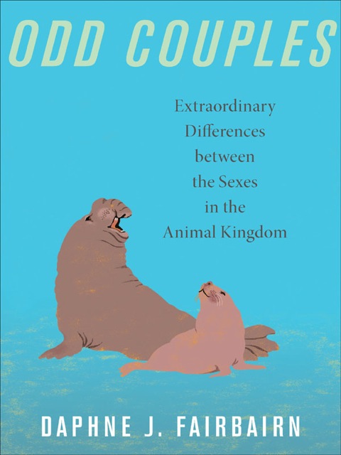 Cover image for book Odd Couples