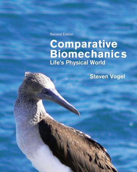 Cover image for book Comparative Biomechanics