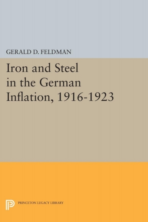 Cover image for book Iron and Steel in the German Inflation, 1916-1923