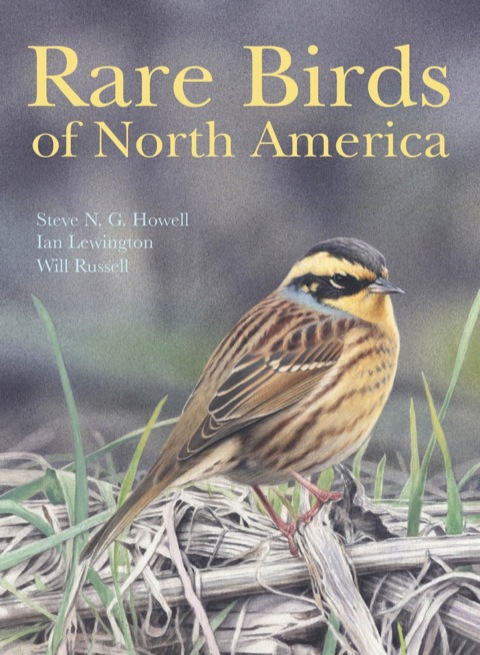 Cover image for book Rare Birds of North America