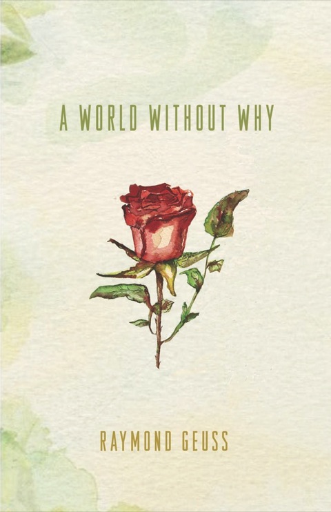Cover image for book A World without Why