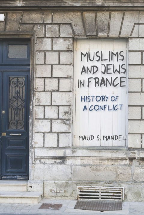 Cover image for book Muslims and Jews in France