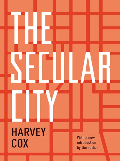 Cover image for book The Secular City
