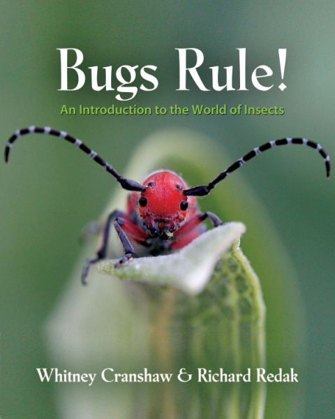 Cover image for book Bugs Rule!