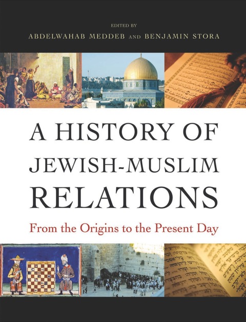 Cover image for book A History of Jewish-Muslim Relations