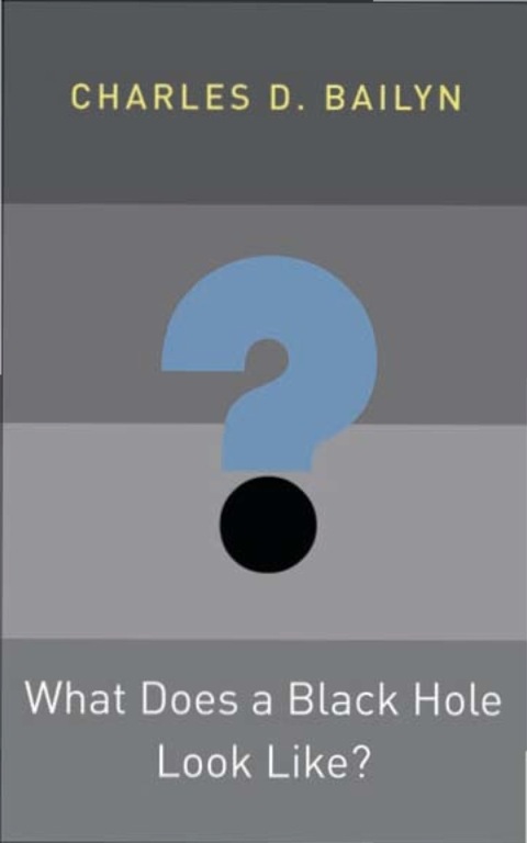 Cover image for book What Does a Black Hole Look Like?