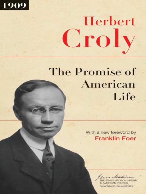 Cover image for book The Promise of American Life