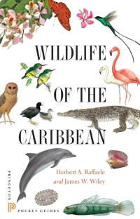 Omslagafbeelding: Wildlife of the Caribbean 9780691153827