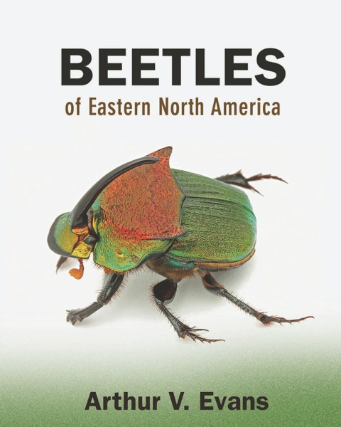 Cover image for book Beetles of Eastern North America