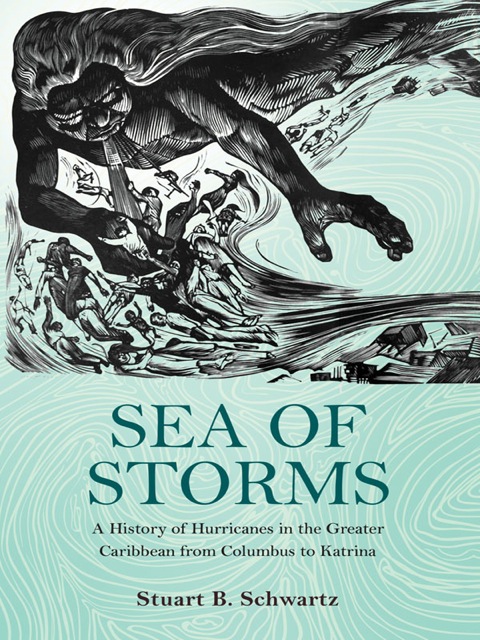 Cover image for book Sea of Storms