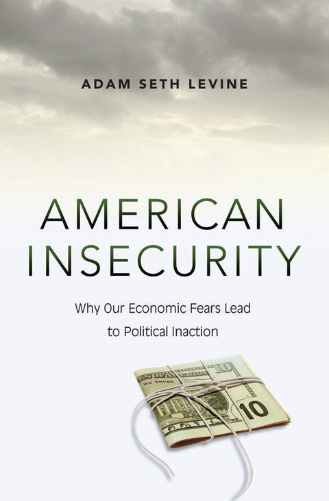 American Insecurity 