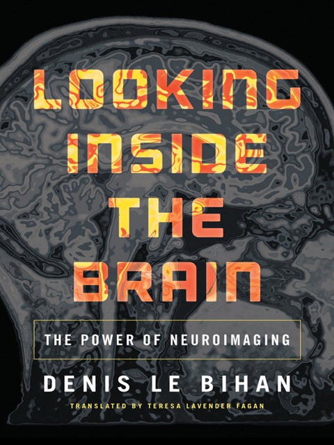 Cover image for book Looking Inside the Brain