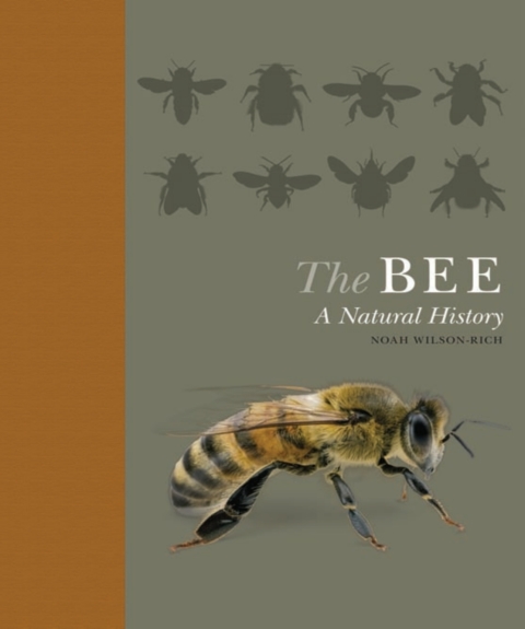 Cover image for book The Bee