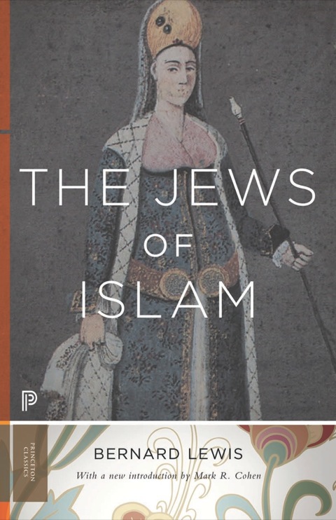 Cover image for book The Jews of Islam