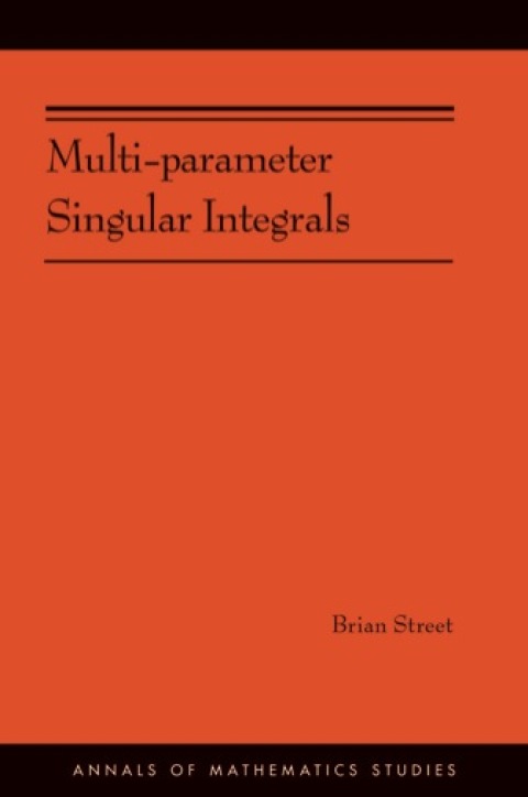 Cover image for book Multi-parameter Singular Integrals, Volume I