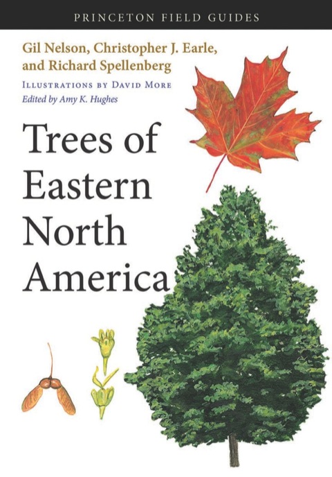 Cover image for book Trees of Eastern North America