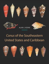 Titelbild: Conus of the Southeastern United States and Caribbean 9780691135380