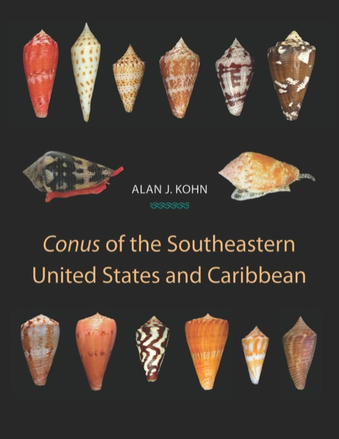 Cover image for book Conus of the Southeastern United States and Caribbean