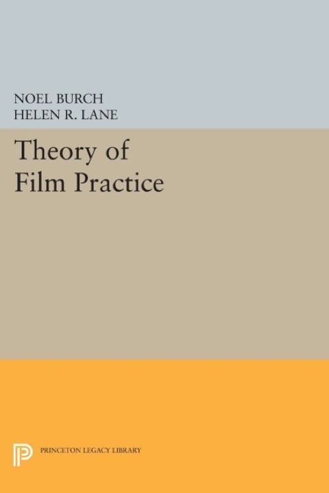 Cover image for book Theory of Film Practice