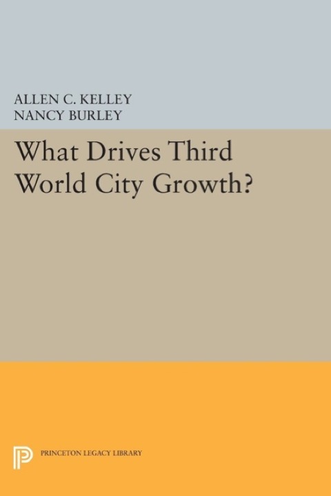 Cover image for book What Drives Third World City Growth?
