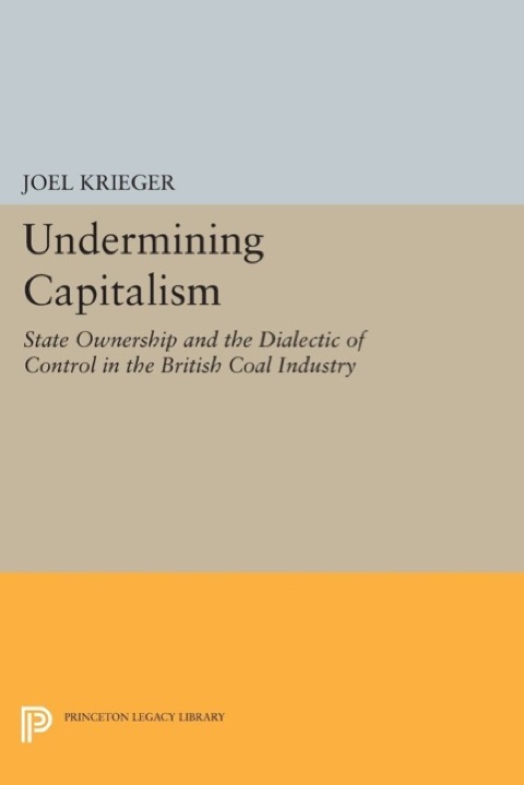 Cover image for book Undermining Capitalism