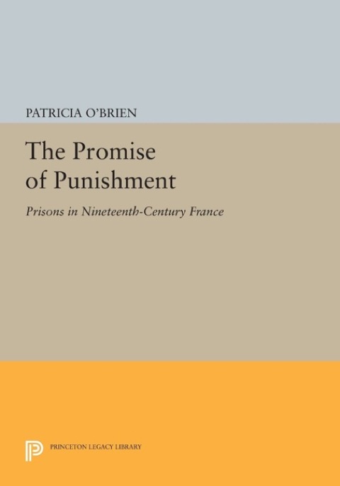 Cover image for book The Promise of Punishment