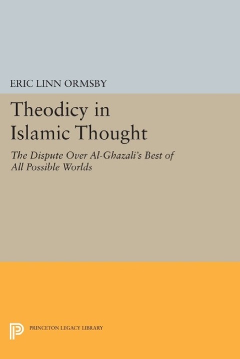 Cover image for book Theodicy in Islamic Thought