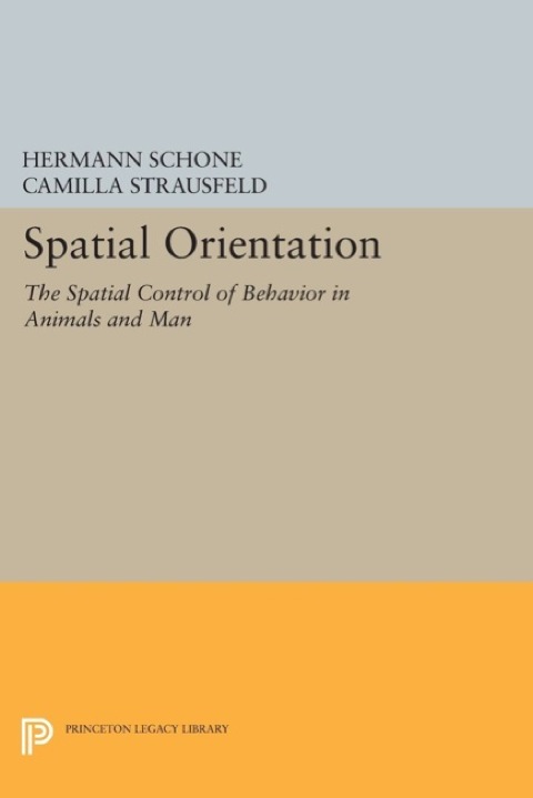 Cover image for book Spatial Orientation
