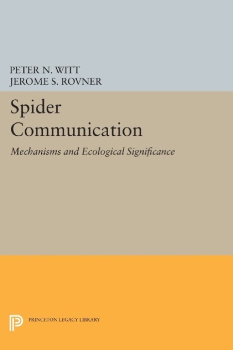 Spider Communication 