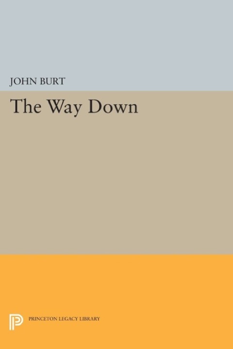 Cover image for book The Way Down