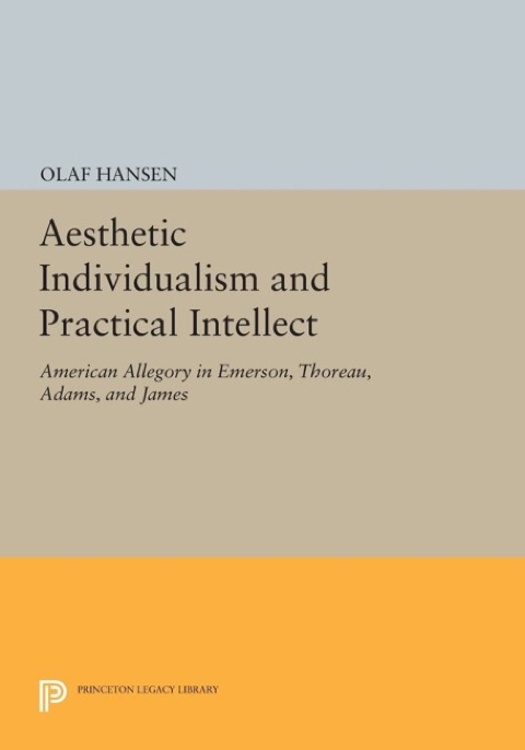 Cover image for book Aesthetic Individualism and Practical Intellect