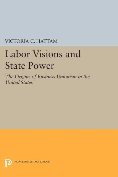 Cover image for book Labor Visions and State Power