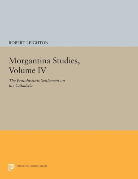 Cover image for book Morgantina Studies, Volume IV