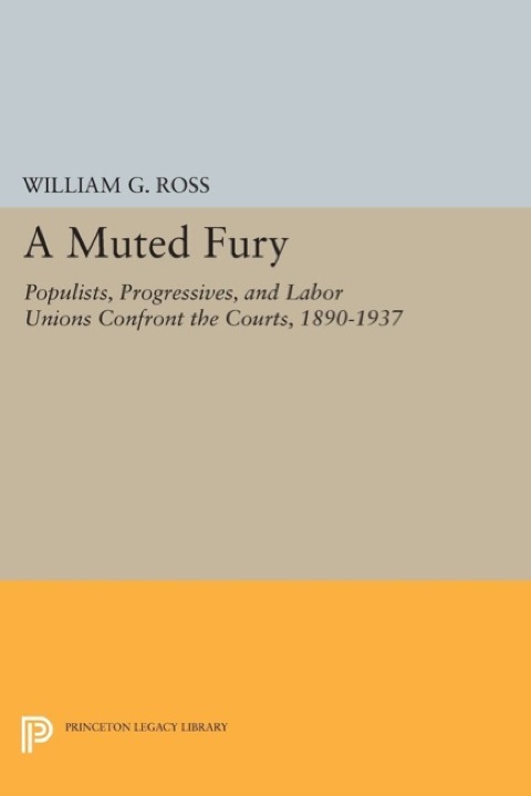 Cover image for book A Muted Fury
