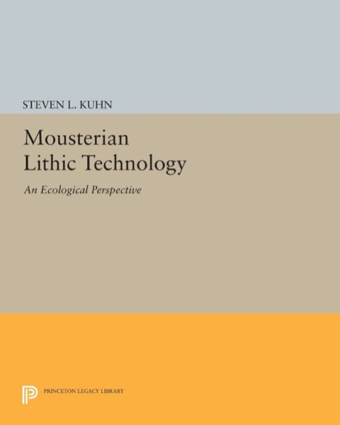 Cover image for book Mousterian Lithic Technology