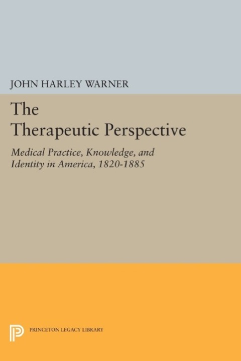 Cover image for book The Therapeutic Perspective