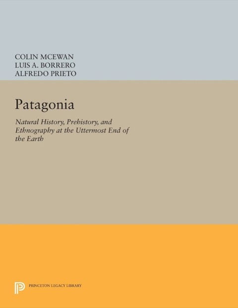 Cover image for book Patagonia