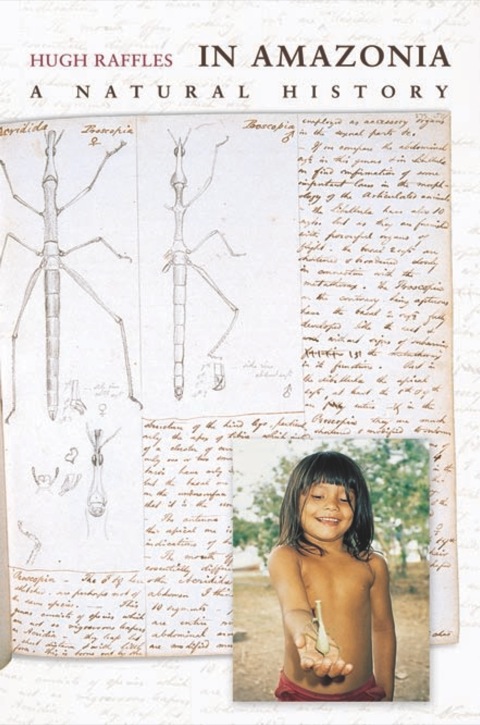 Cover image for book In Amazonia