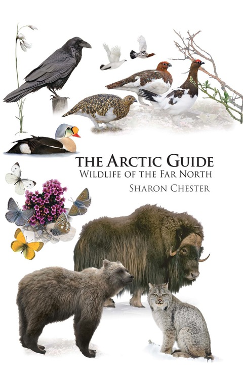 Cover image for book The Arctic Guide