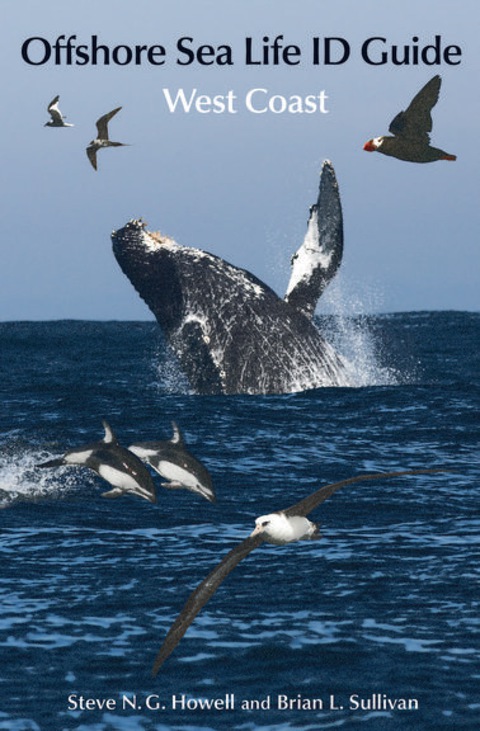 Cover image for book Offshore Sea Life ID Guide