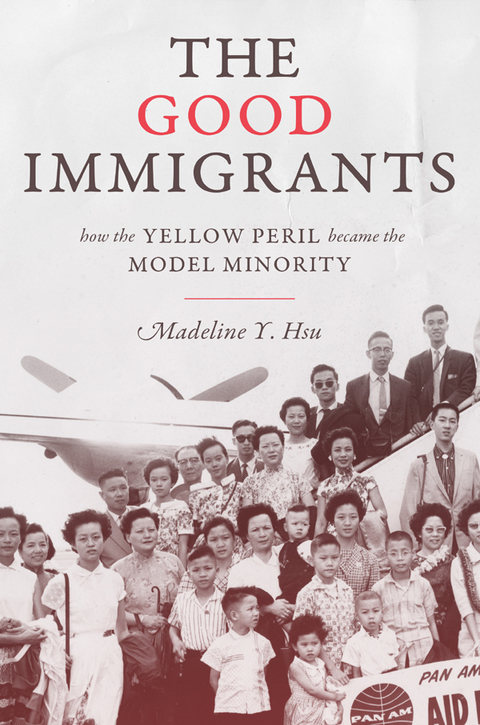Cover image for book The Good Immigrants
