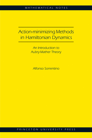 Action-minimizing Methods in Hamiltonian Dynamics