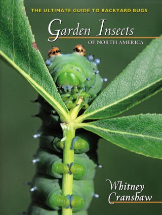 Garden Insects of North America