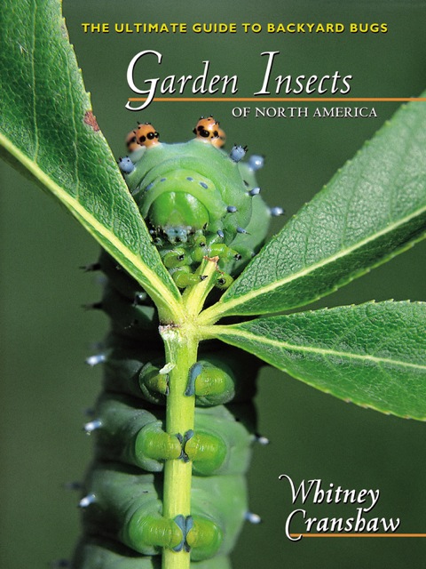 Cover image for book Garden Insects of North America
