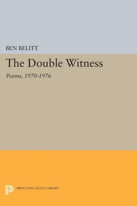 Cover image for book The Double Witness