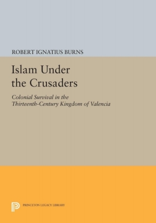 Islam Under the Crusaders